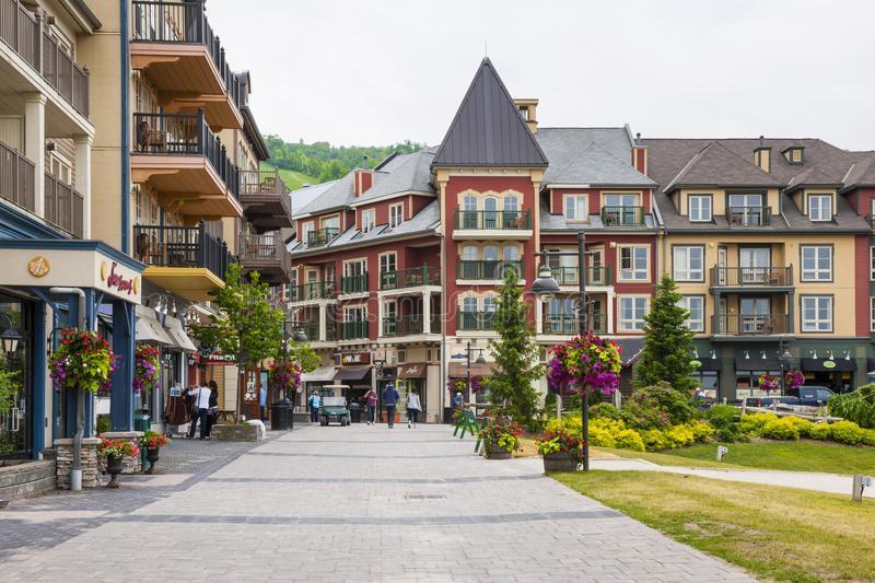 Blue Mountain 2 Story Studio Loft Блу-Маунтинс Экстерьер фото